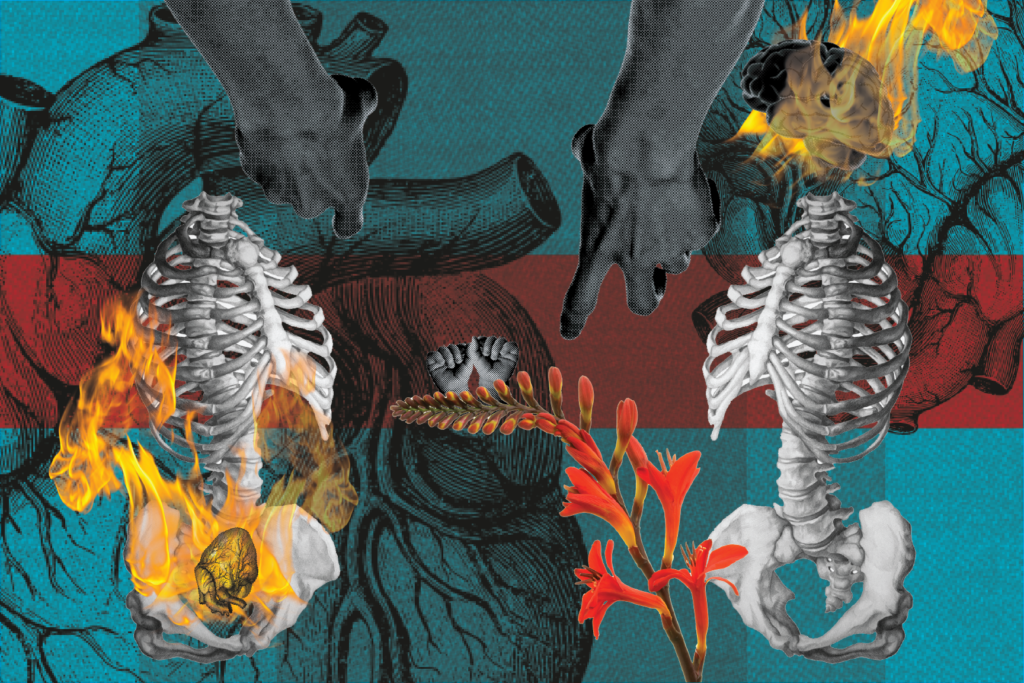 A collage, chaotic. Anatomical drawing of a heart layered with a skelatal torso, another heart upside-down and over the pelvis, the next layer flames. A mirrored skeleton, this one with a brain on fire. Hands point from the top, small fists reach up, growing out of a flower. 
